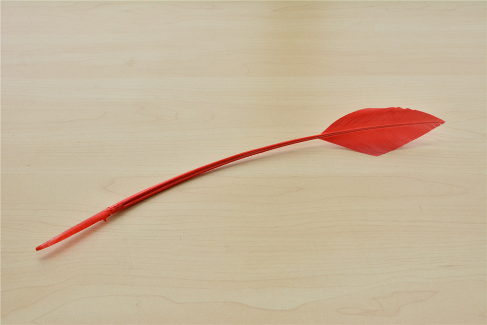 RL-AHTQ Arrowhead Turkey Quill One Piece