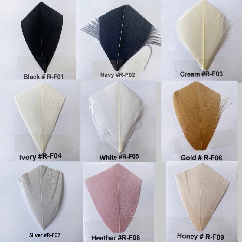 Feather Colour Shade Card