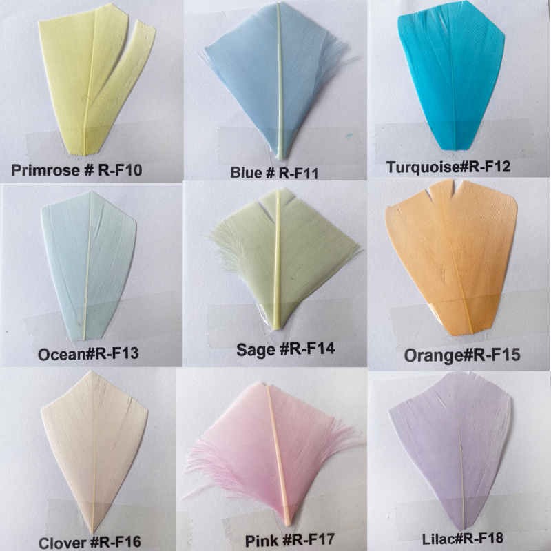 Feather Colour Shade Card