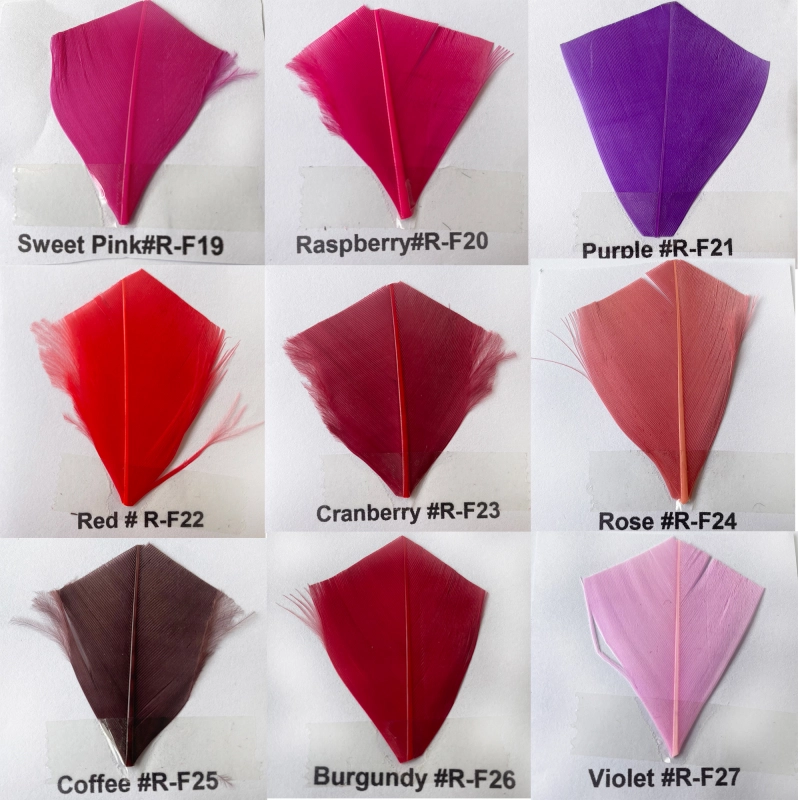 Feather Colour Shade Card