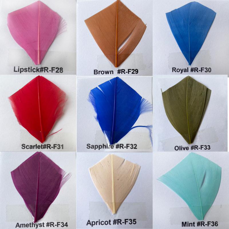 Feather Colour Shade Card