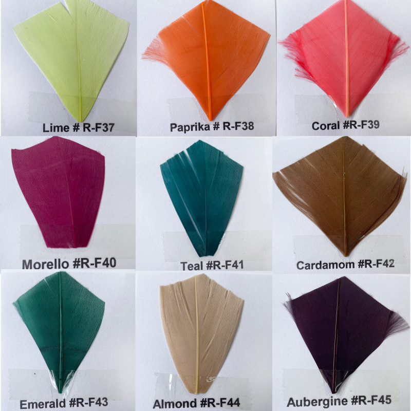 Feather Colour Shade Card