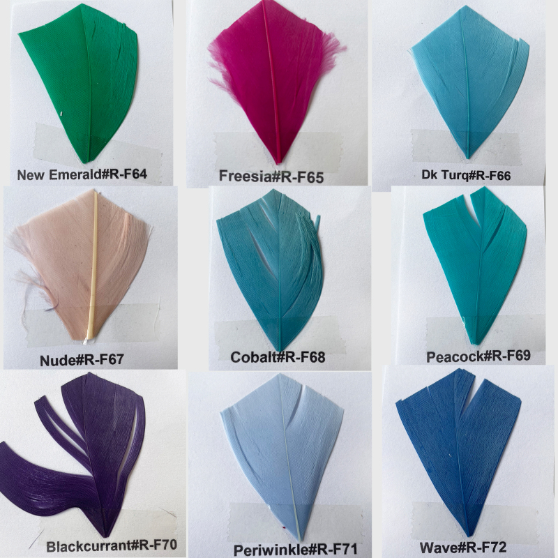 Feather Colour Shade Card