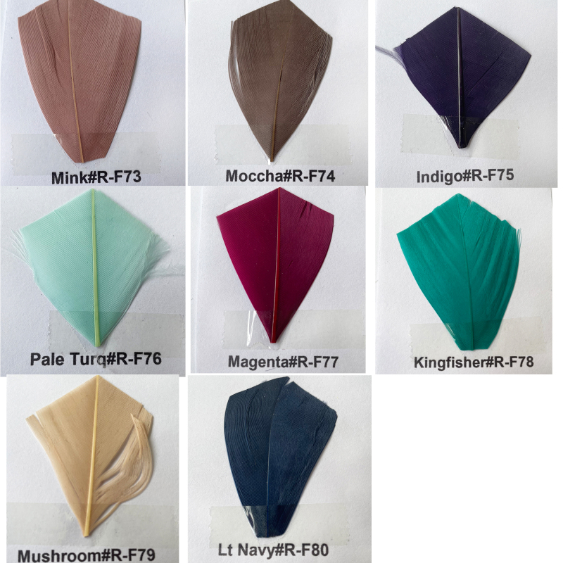 Feather Colour Shade Card