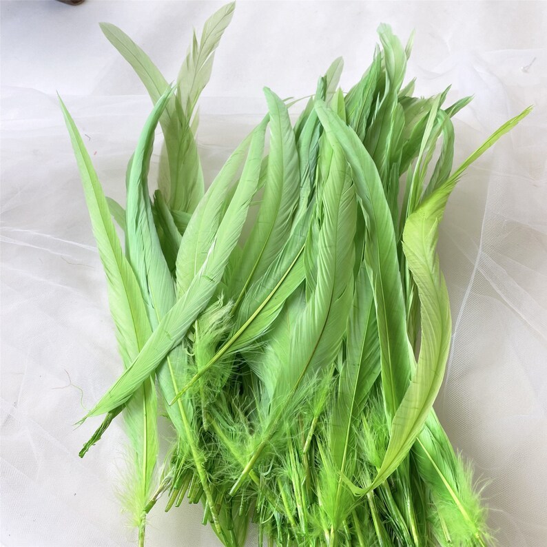 RL-C03 Long Tail Feather 10/12 25pcs/Packet