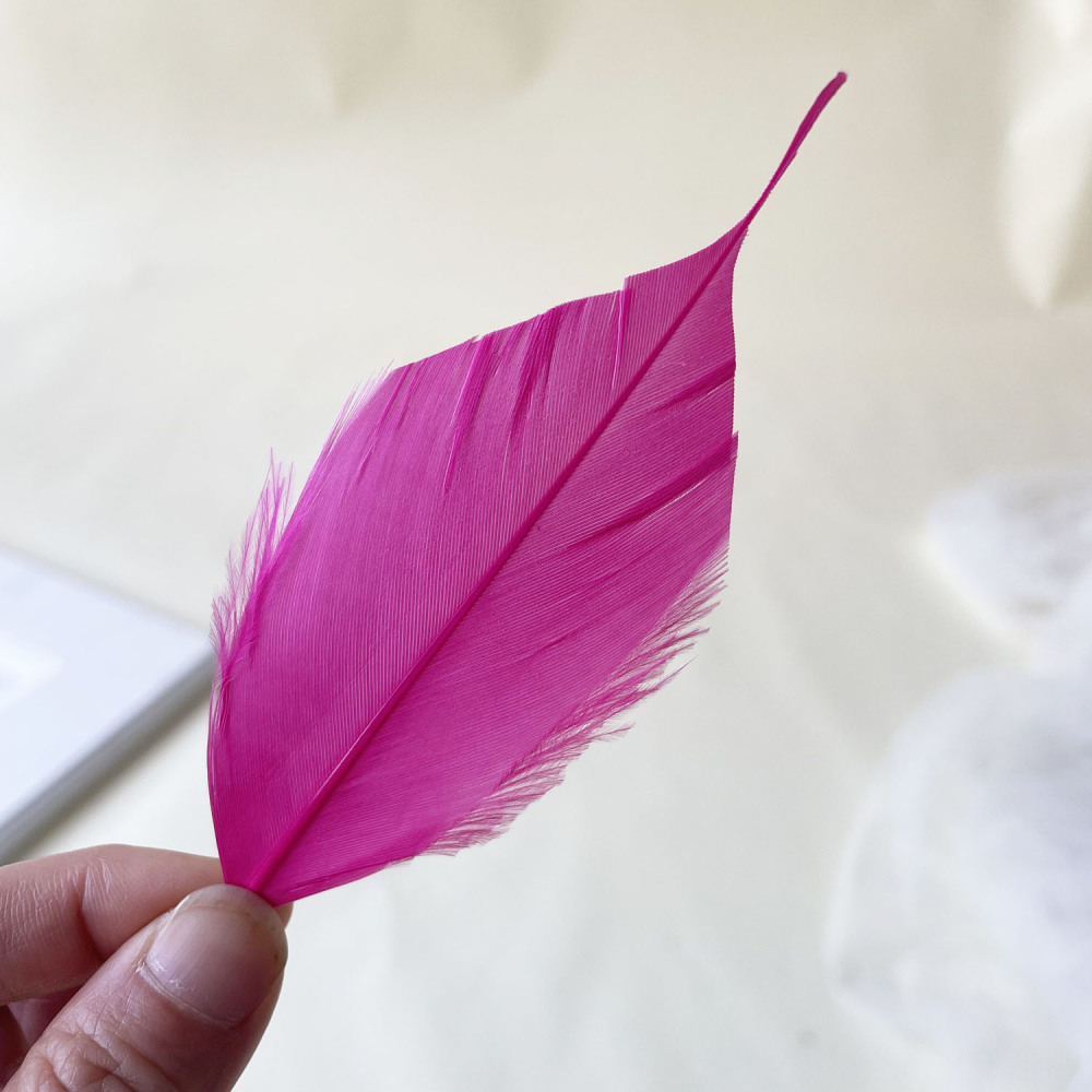 RL-ALSP Long Spiky Tips Goose Feather 25pcs/Packet