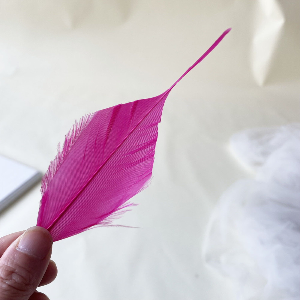 RL-ALSP Long Spiky Tips Goose Feather 25pcs/Packet