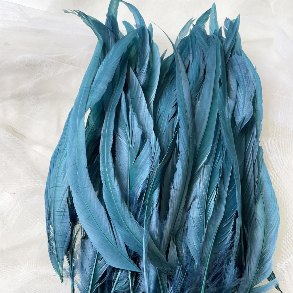 RL-C03 Long Tail Feather 10/12 25pcs/Packet
