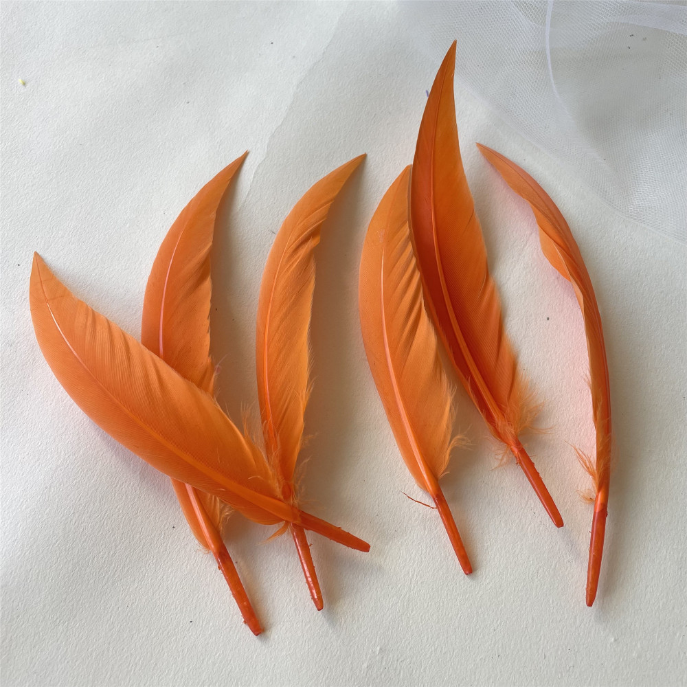 RL-ZZ  Feather 5.5-6 inch 25pcs/Packet