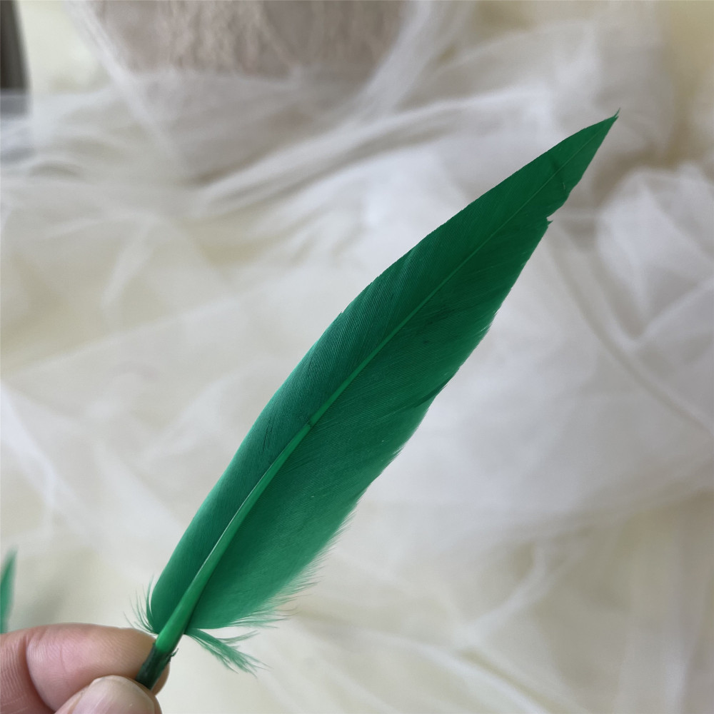 RL-ZZ  Feather 5.5-6 inch 25pcs/Packet