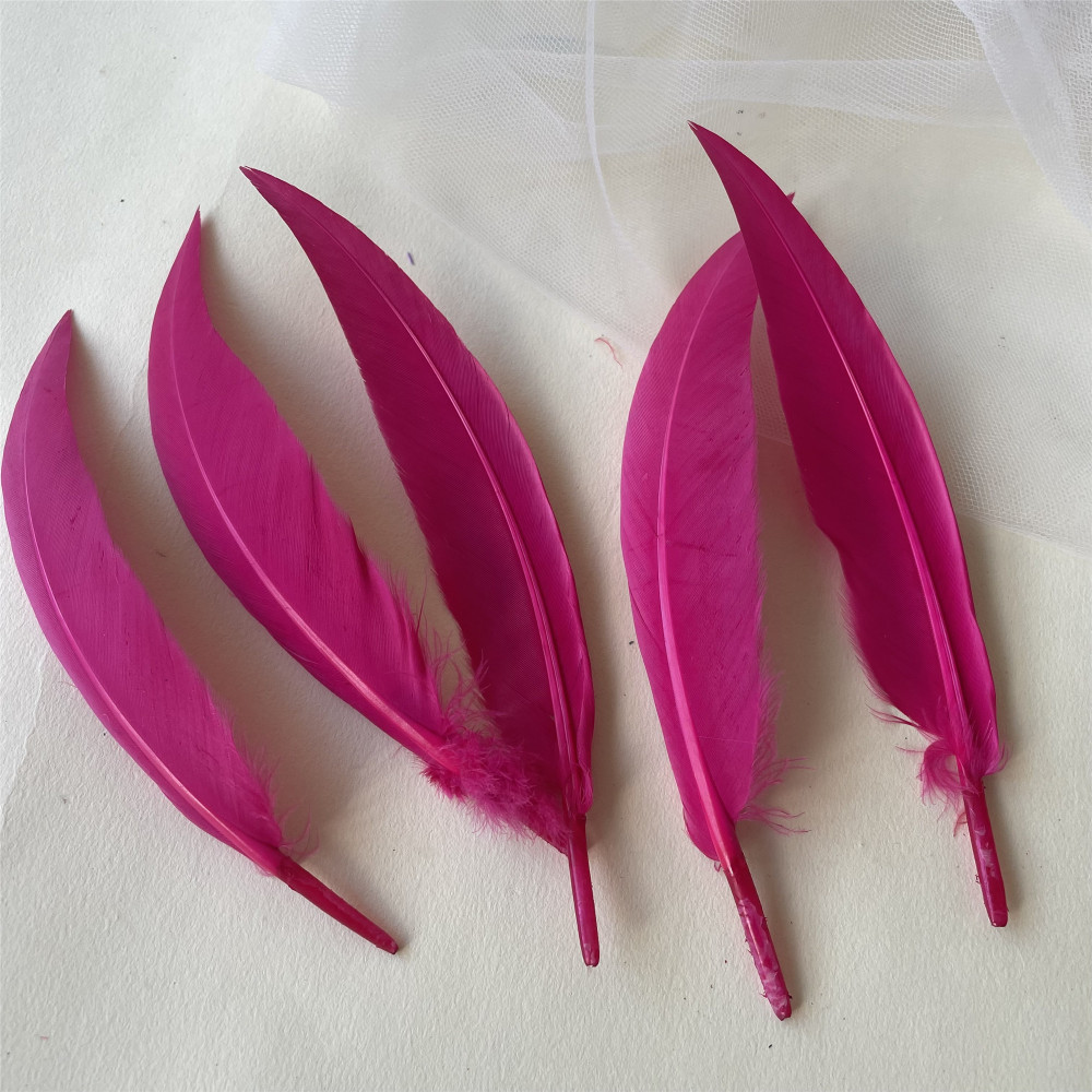 RL-ZZ  Feather 5.5-6 inch 25pcs/Packet