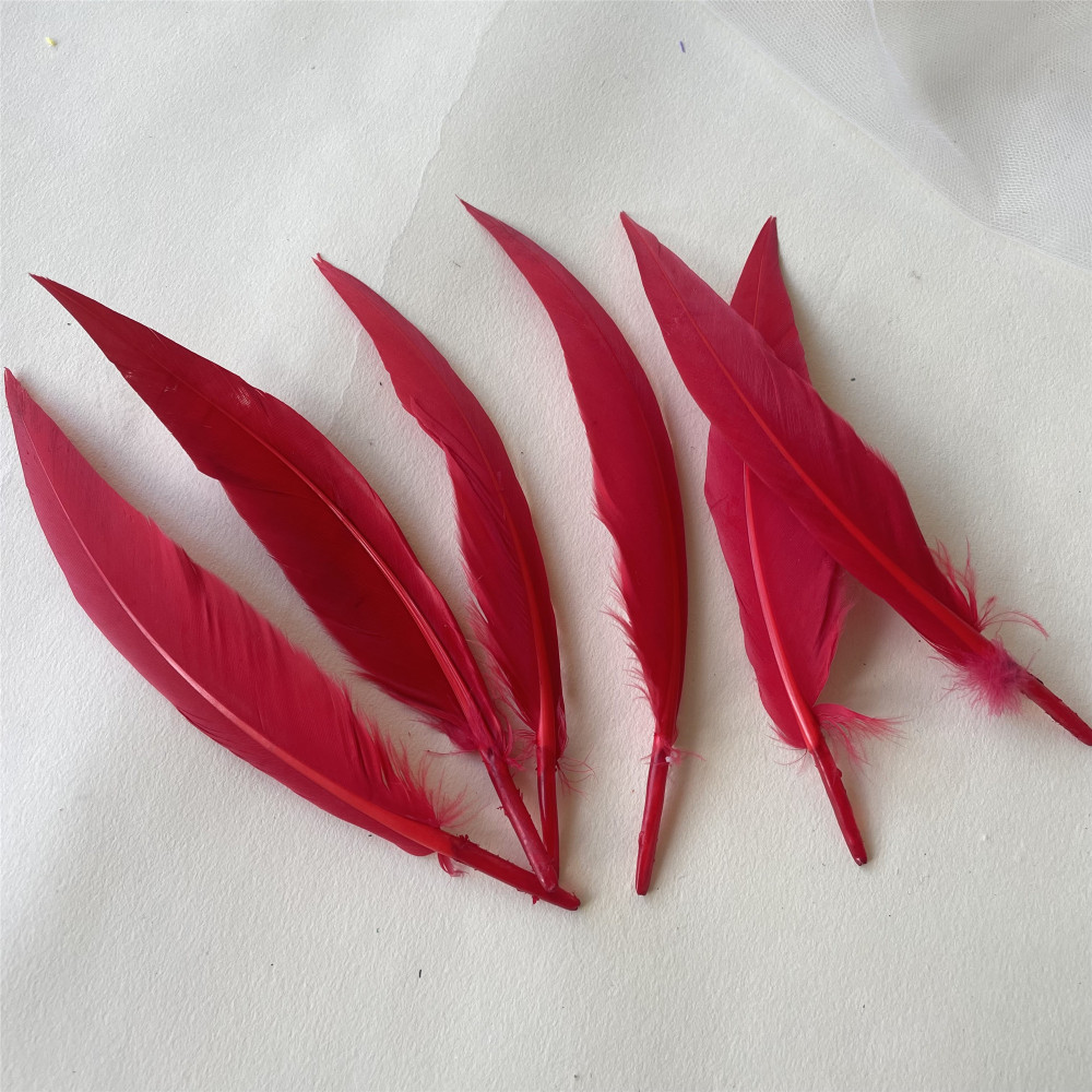 RL-ZZ  Feather 5.5-6 inch 25pcs/Packet