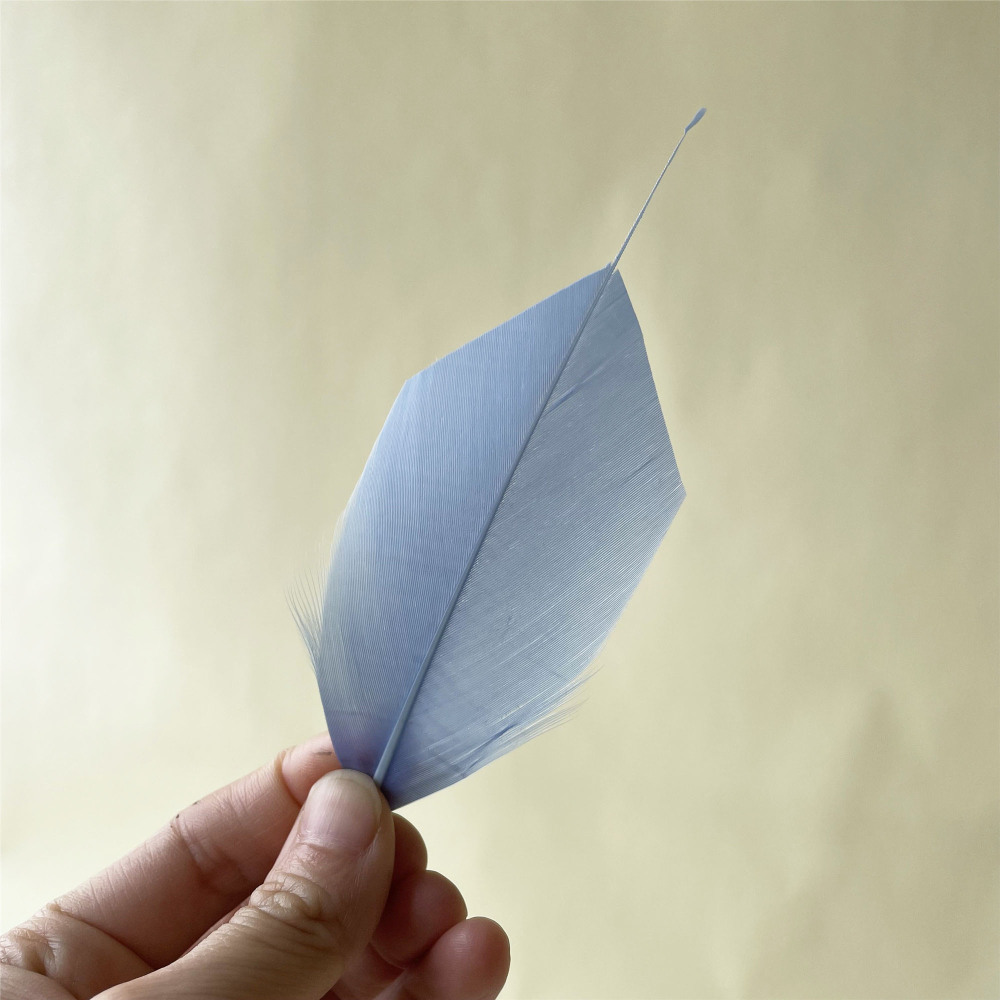 RL-ALSP Long Spiky Tips Goose Feather 25pcs/Packet