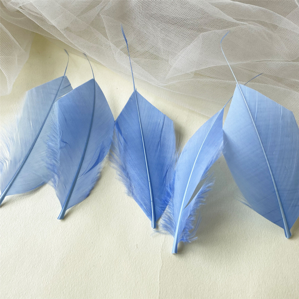 RL-ALSP Long Spiky Tips Goose Feather 25pcs/Packet