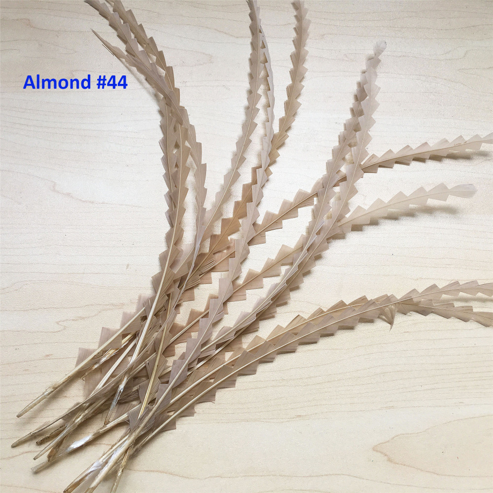 RL-C03CC Chevron Cut Coque Feather 10/12 25pcs/Packet