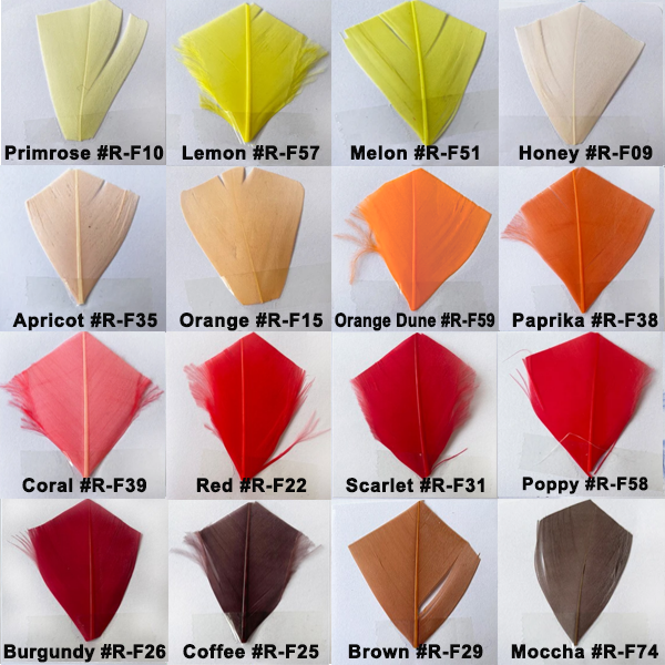 Feather Colour Shade Card
