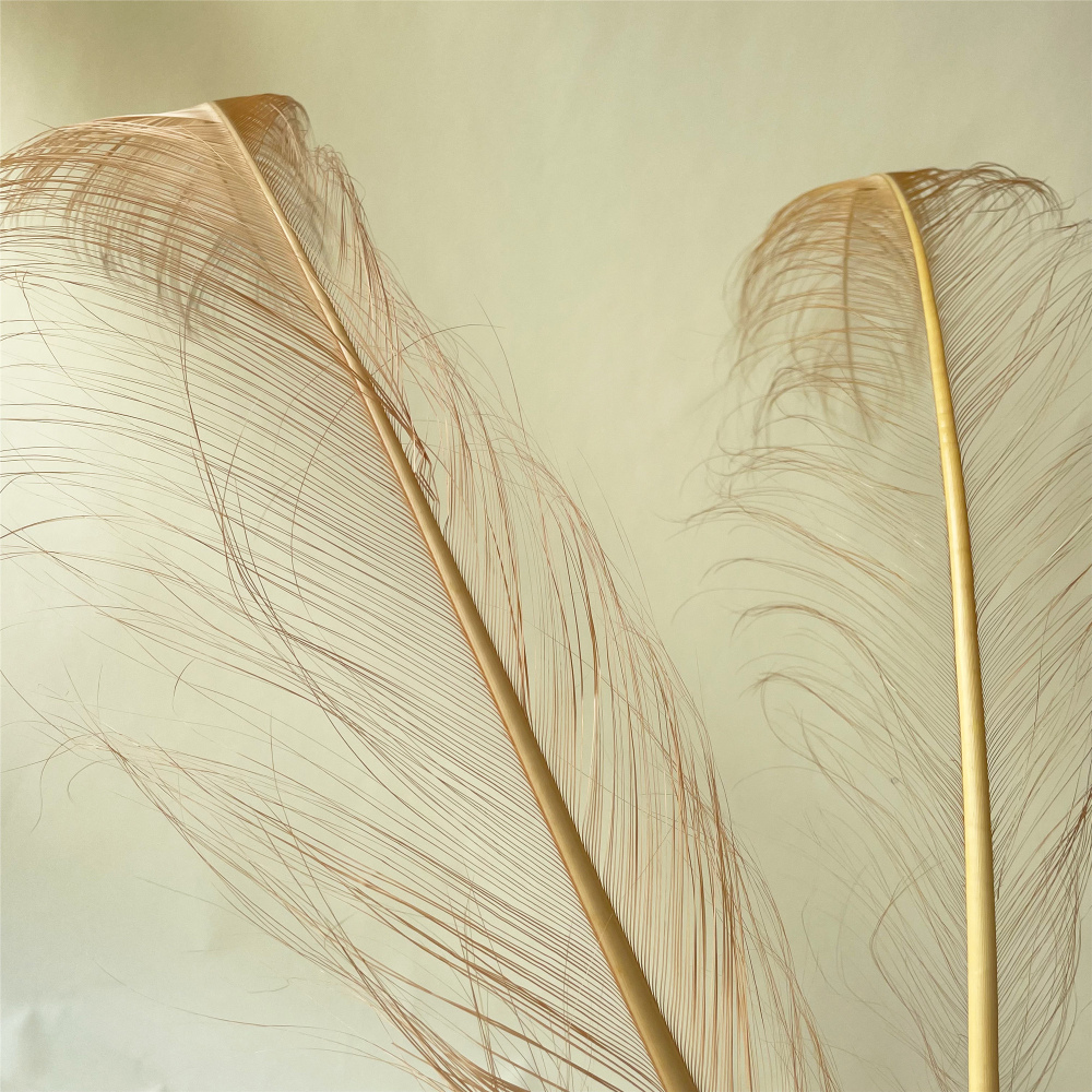 RL-OS Burnt Ostrich Feather Plume 55-60cm for Millinery Wedding & DIY Crafts | 80+ Colors