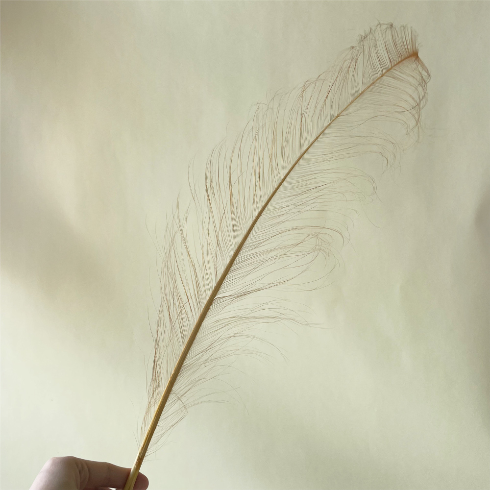 RL-OS Burnt Ostrich Feather Plume 55-60cm for Millinery Wedding & DIY Crafts | 80+ Colors