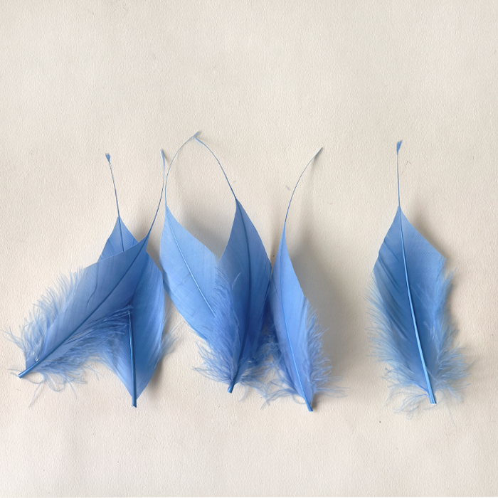 RL-ALSP Long Spiky Tips Goose Feather 25pcs/Packet