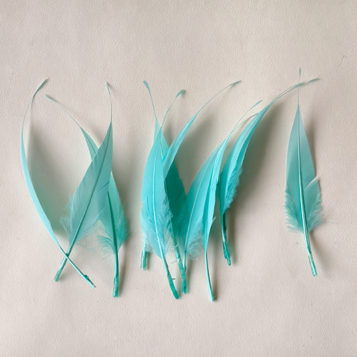 RL-LSP Long Spiky Tips Goose Feather 25pcs/Packet