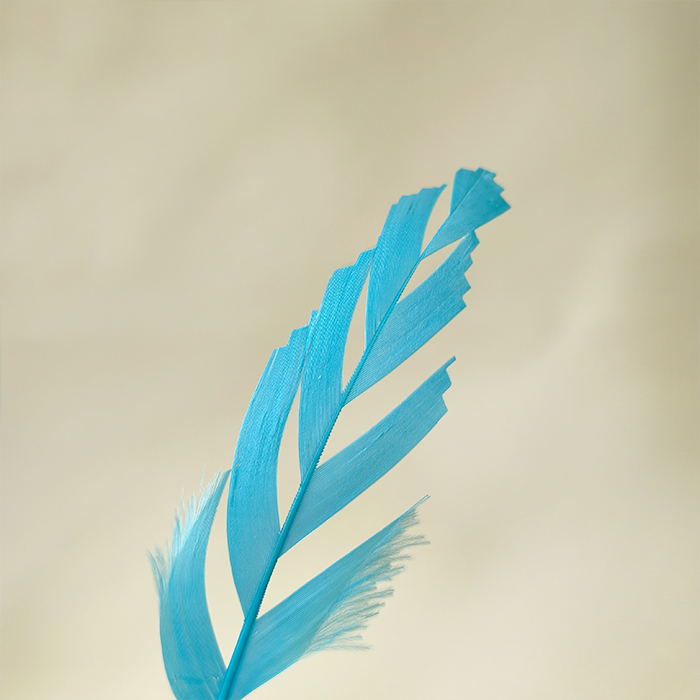 RL-ZTG02 Hand-Trimmed Z-Cut Goose Feathers 3-4.5"  25pcs/pack