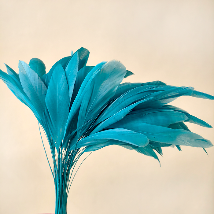 RL-SC01  Stripped Coque Feathers 6-8"   25/50/100pcs for Millinery & DIY