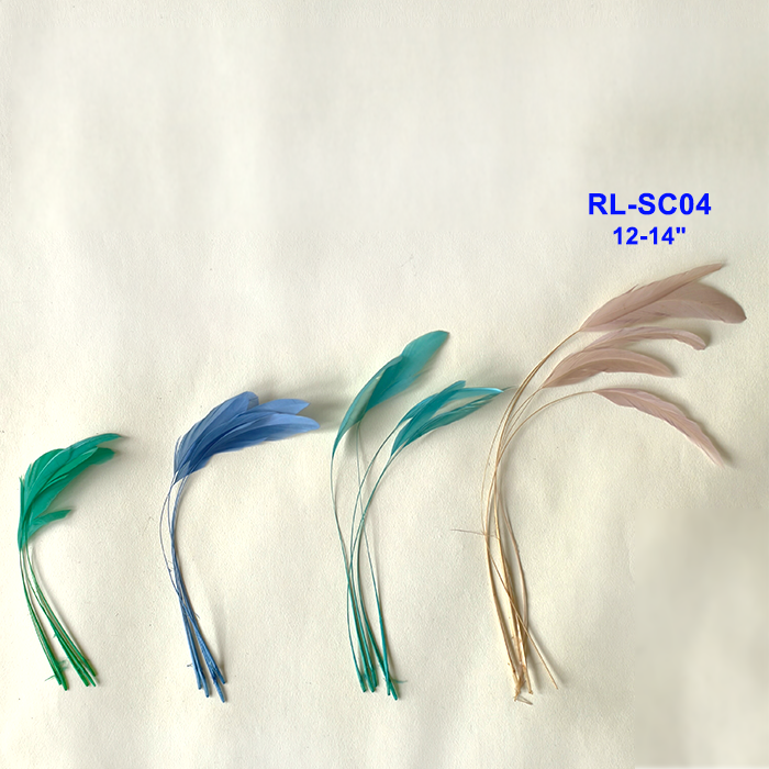 RL-SC04  Stripped Coque Feathers 12-14"  25/50/100pcs for Millinery & DIY