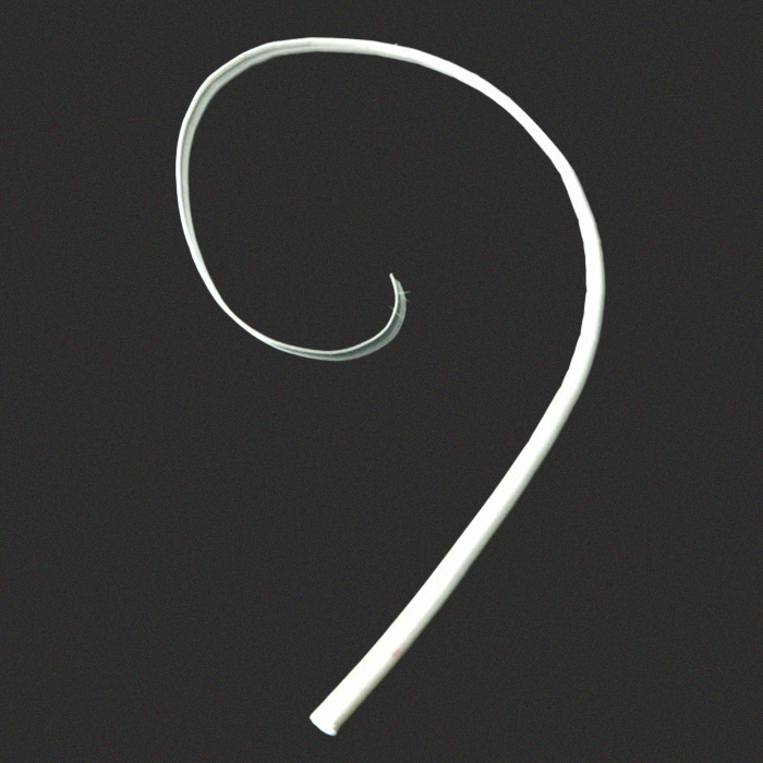 RL-CQ 19" Curled Ostrich Quills 80 Colors Available Millinery Feather Stripped One Piece