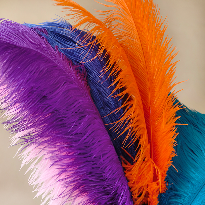 RL-OSB Premium Ostrich Feather Plumes for Derby Hats & Millinery 12 Colors One Piece