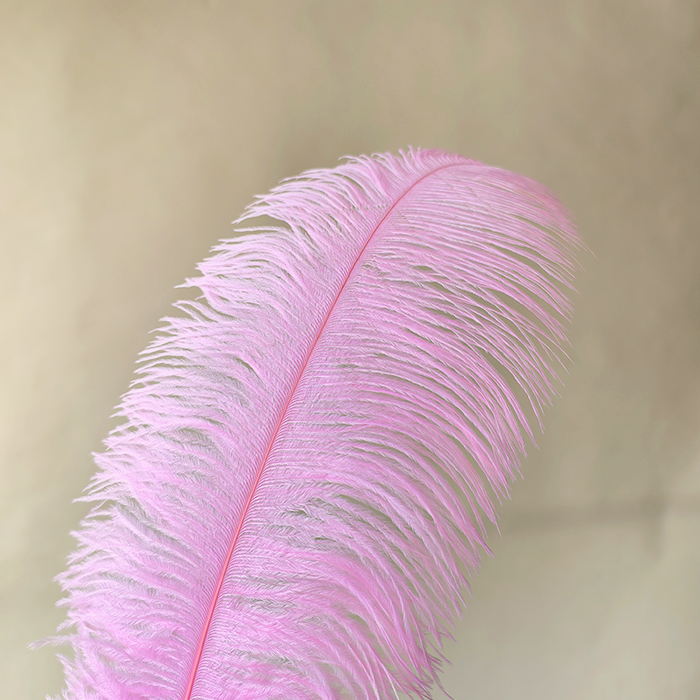 RL-OSB Premium Ostrich Feather Plumes for Derby Hats & Millinery 12 Colors One Piece