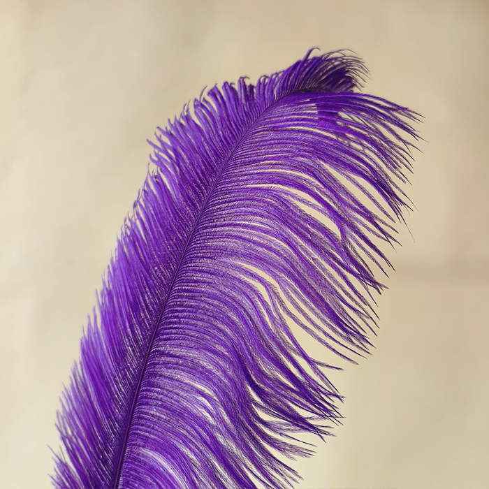 RL-OSB Premium Ostrich Feather Plumes for Derby Hats & Millinery 12 Colors One Piece