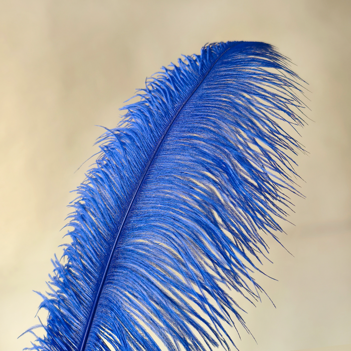 RL-OSB Premium Ostrich Feather Plumes for Derby Hats & Millinery 12 Colors One Piece