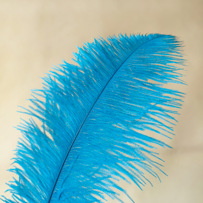 RL-OSB Premium Ostrich Feather Plumes for Derby Hats & Millinery 12 Colors One Piece