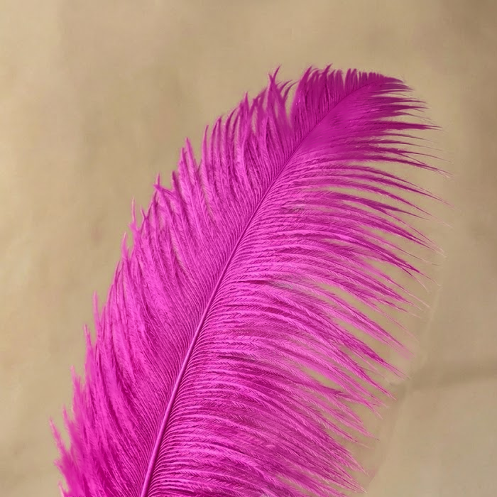 RL-OSB Premium Ostrich Feather Plumes for Derby Hats & Millinery 12 Colors One Piece