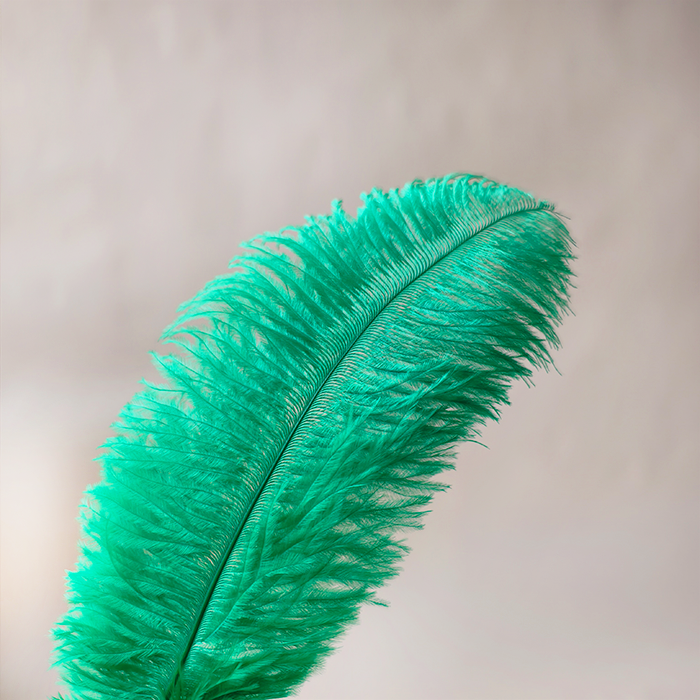 RL-OSB Premium Ostrich Feather Plumes for Derby Hats & Millinery 12 Colors One Piece
