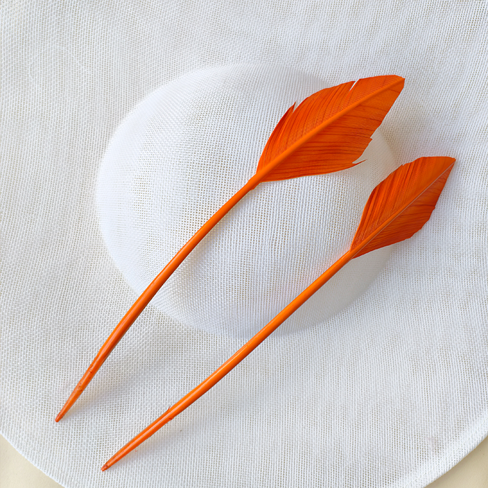 RL-AHTQ Arrowhead Turkey Quill Feathers for Millinery available in 80 Colours One Piece