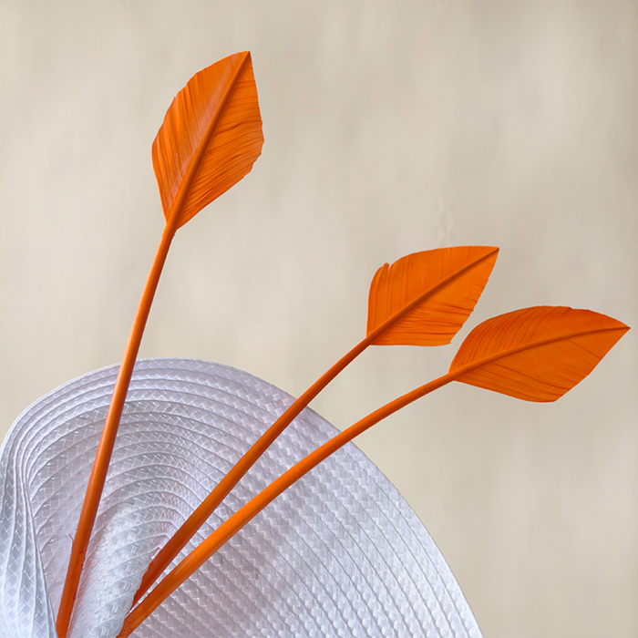 RL-AHTQ Arrowhead Turkey Quill Feathers for Millinery available in 80 Colours One Piece