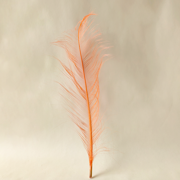 RL-OS Burnt Ostrich Feather Plume 55-60cm for Millinery Wedding & DIY Crafts | 80+ Colors