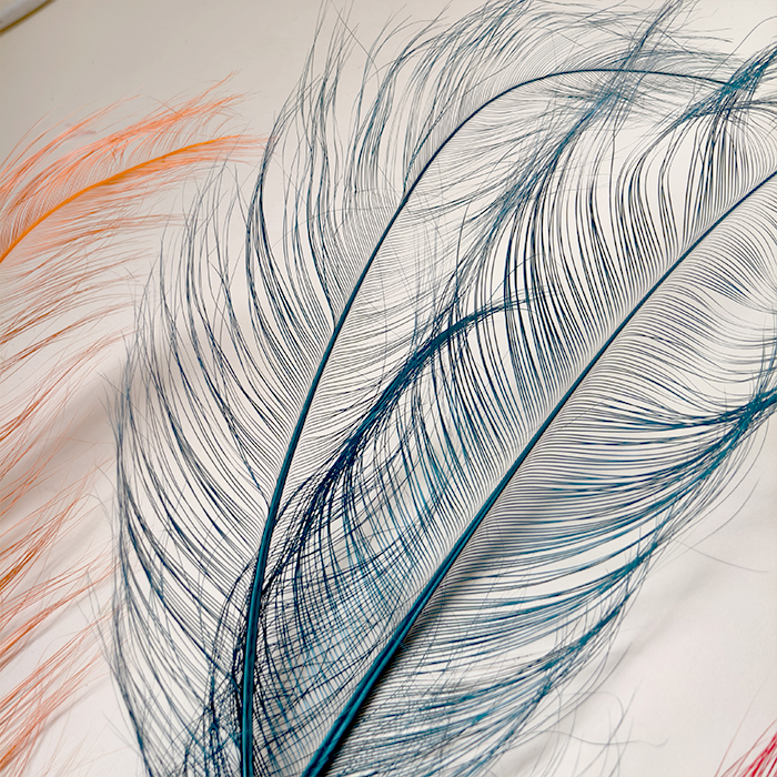 RL-OS Burnt Ostrich Feather Plume 55-60cm for Millinery Wedding & DIY Crafts | 80+ Colors