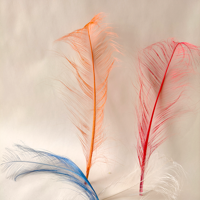 RL-OS Burnt Ostrich Feather Plume 55-60cm for Millinery Wedding & DIY Crafts | 80+ Colors