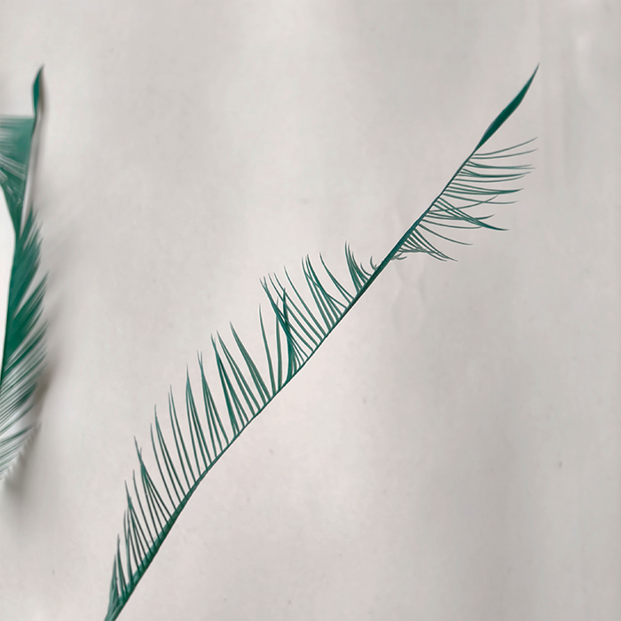 RL-SG02 Loose Spiked Goose Biot 25pcs/Packet