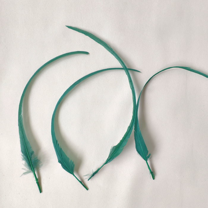 RL-C03LT Long Stripped Coque Feathers 10-12" 80 Colors Available 25pcs/Packet