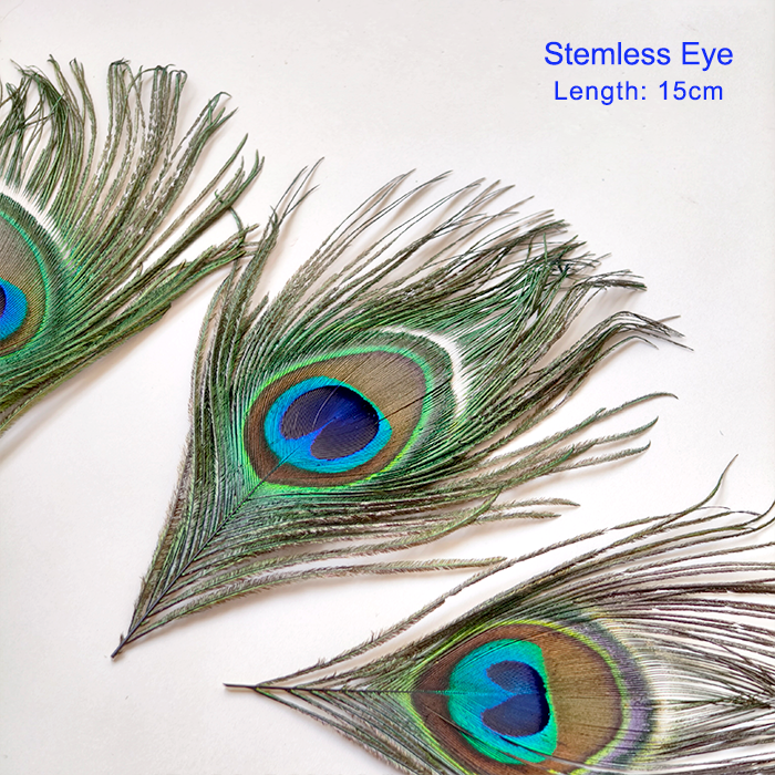 RL-PE03 Large Natural Peacock Eye Feathers Full Stem & Stemless One Piece