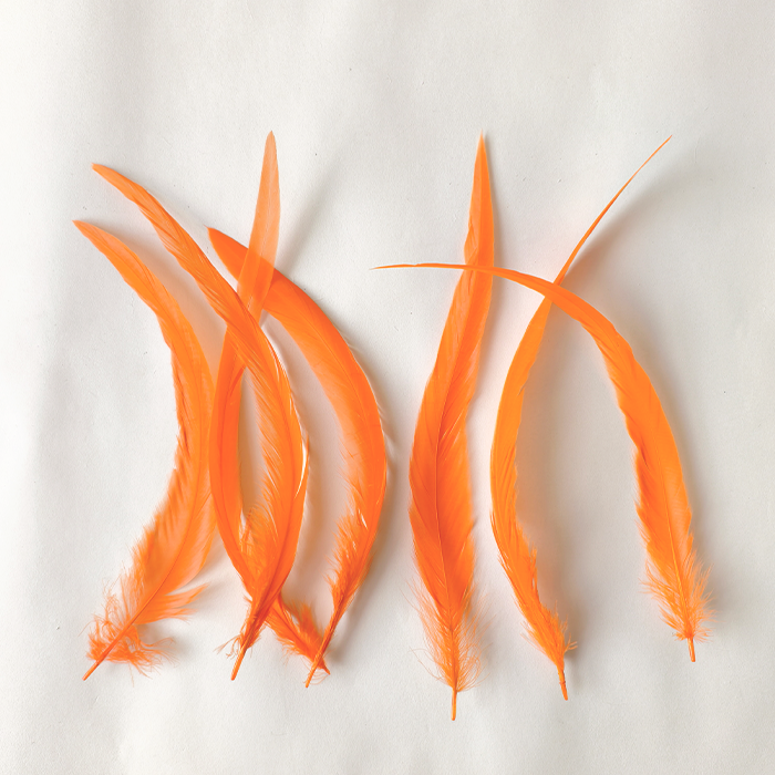 RL-C03 Long Stripped Coque Tail Feathers 10-12"  80 Colors Available 25pcs/Packet