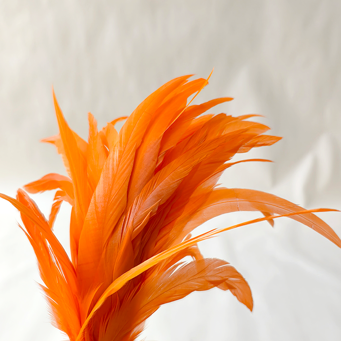RL-C03 Long Stripped Coque Tail Feathers 10-12"  80 Colors Available 25pcs/Packet