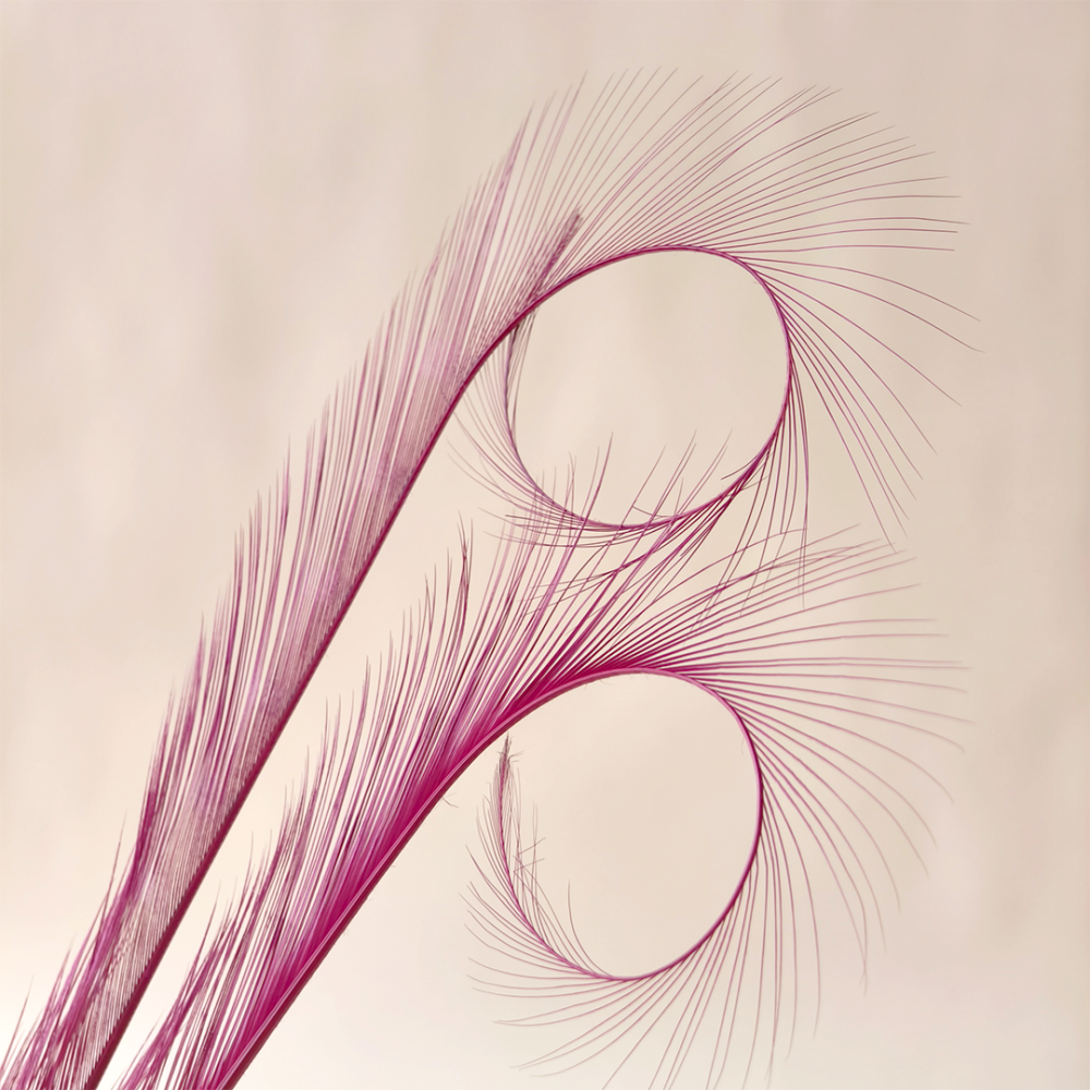 RL-DIM Burnt Curled Eyelash Effect Feather Pheasant Tails Motif For Millinery 80 colours One Piece