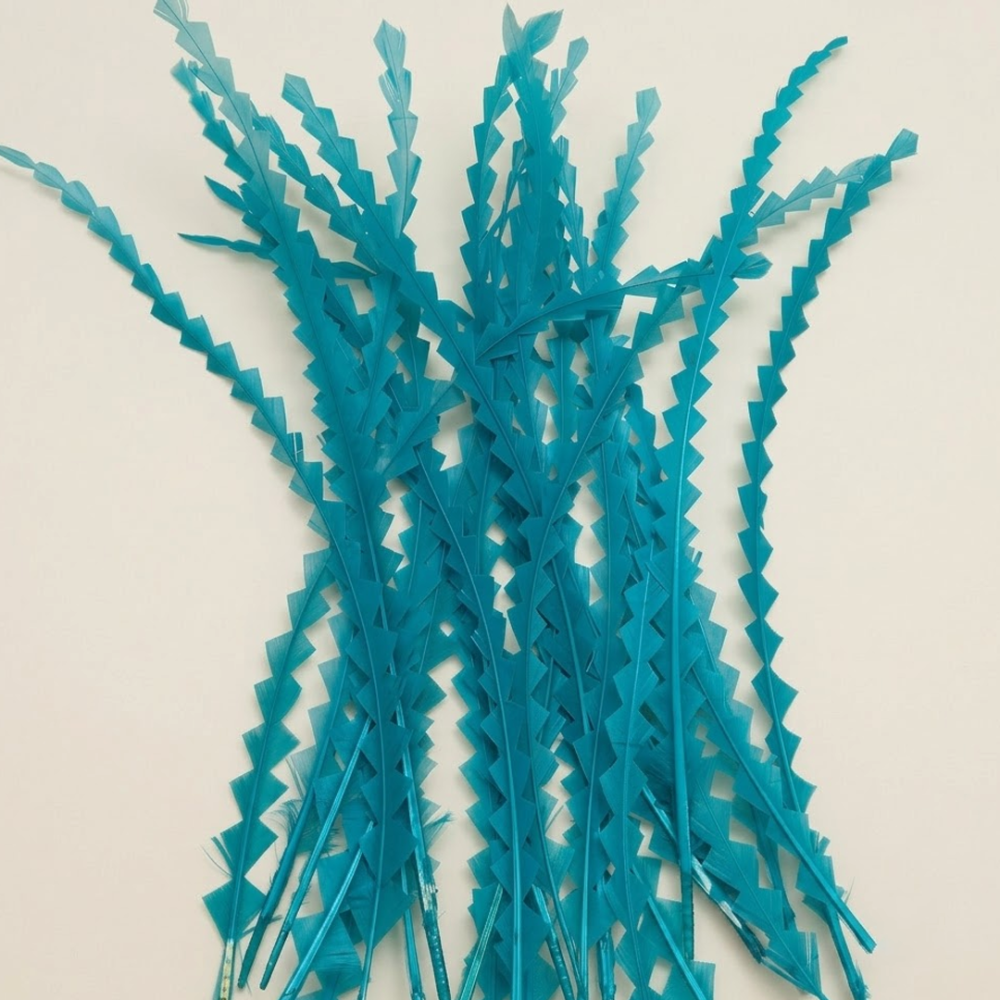 RL-C03CC Chevron Cut Coque Feather 10/12 25pcs/Packet