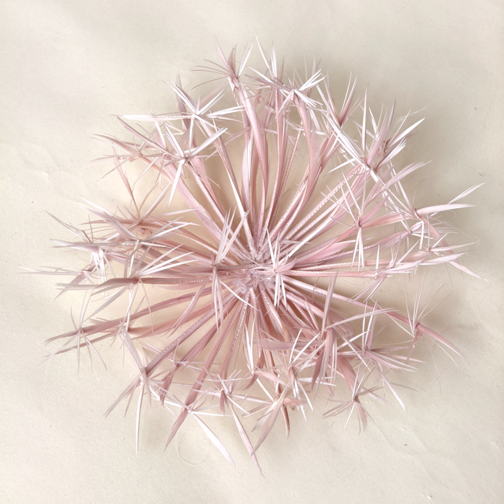 RB146 Dandelion-Inspired Goose Biot Feather Blossom Mount for Fine Millinery
