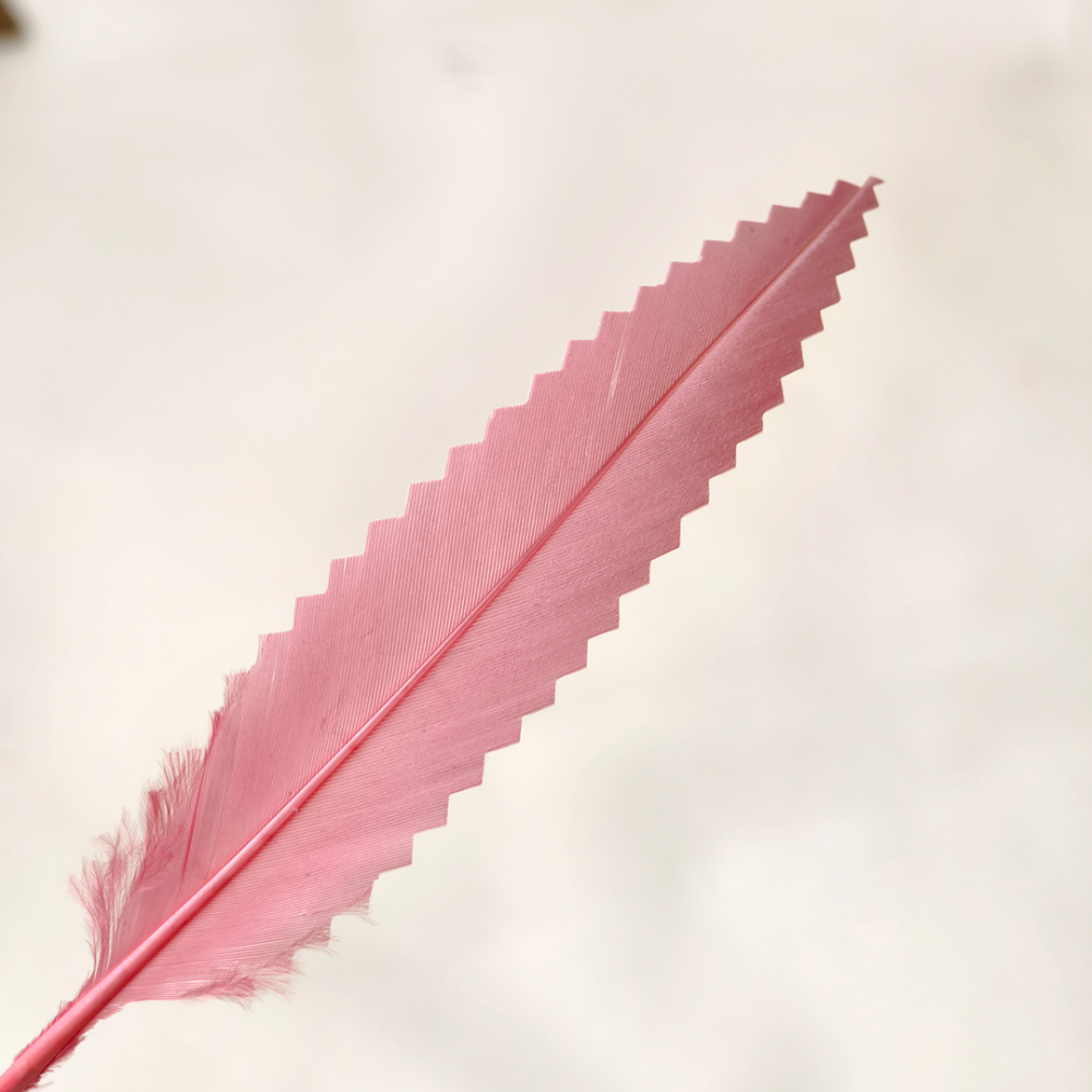 RL-ZEG Zig-Zag Geometric Cut Goose Feather Pointers for Occasion Wear Millinery 25 pcs/ packet