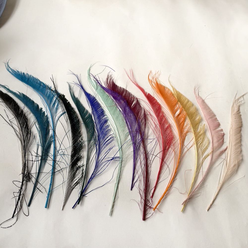 FEA1026 Burnt Peacock Sword Feathers 30-40cm for Craft & Millinery 10pcs/Packet
